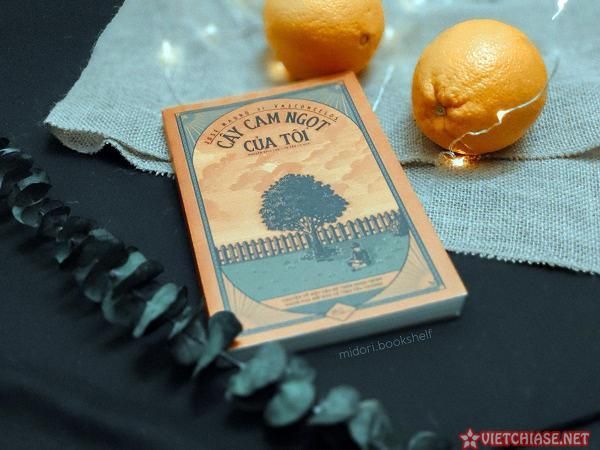 Cây Cam Ngọt Của Tôi