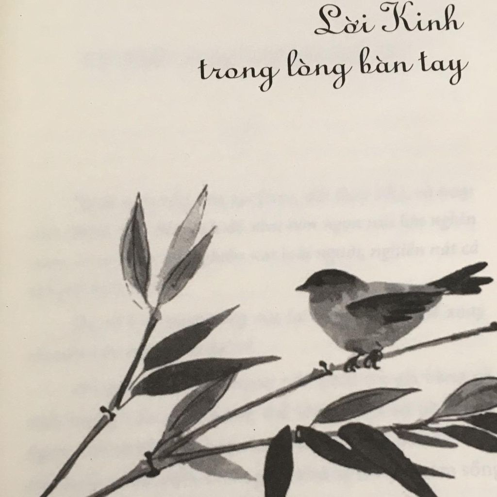 Cuộc Sống Nhìn Từ Ô Cửa Thiền - Tập 2