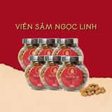  Viên Sâm Ngọc Linh Hạnh Tâm An 