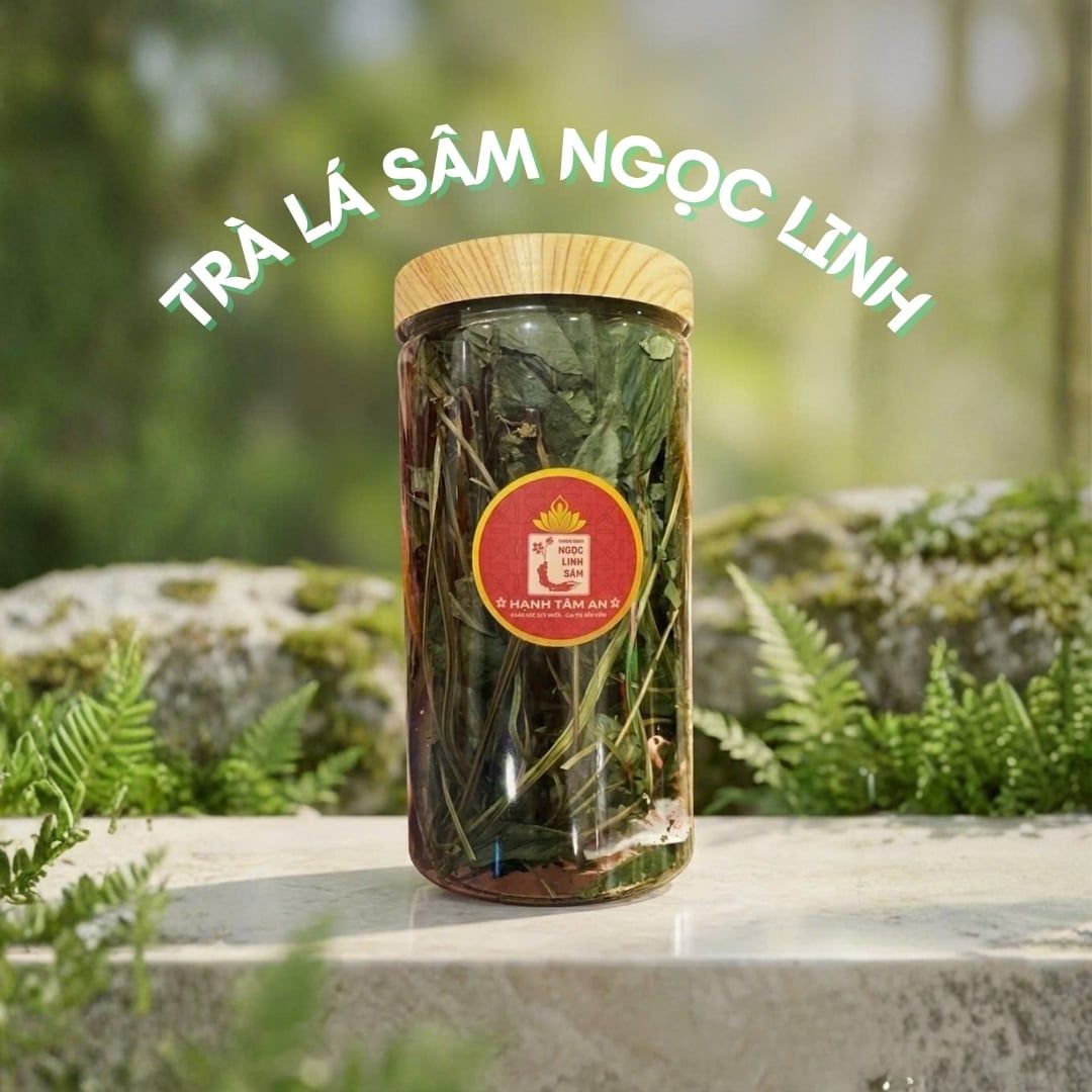  Trà Lá Sâm Ngọc Linh 