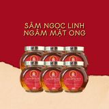  Sâm Ngọc Linh Ngâm Mật Ong Hạnh Tâm An 