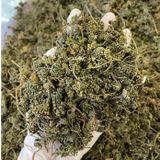  Trà Hoa Sâm Ngọc Linh – 100g 