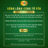  Mua 1 tặng 3 - Yến Tinh Chế Baby - Không Pha Trộn Đường , Tạp Chất - Yến Sào Yvafu 
