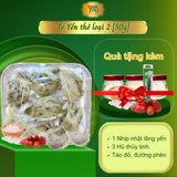  Tổ Yến Thô Loại 2 - 50g - Nguyên chất 100% - Yến Sào Yvafu - Tặng 4 quà tặng kèm 
