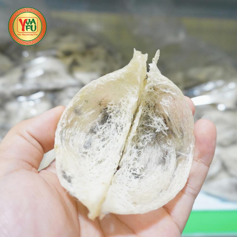 Tổ Yến Thô Loại 2 - 50g - Nguyên chất 100% - Yến Sào Yvafu - Tặng 7 qu