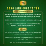  Tổ Yến Tinh Chế 100g - Không Pha Trộn Đường , Tạp Chất - Yến Sào Yvafu - Tặng 6 quà tặng kèm 