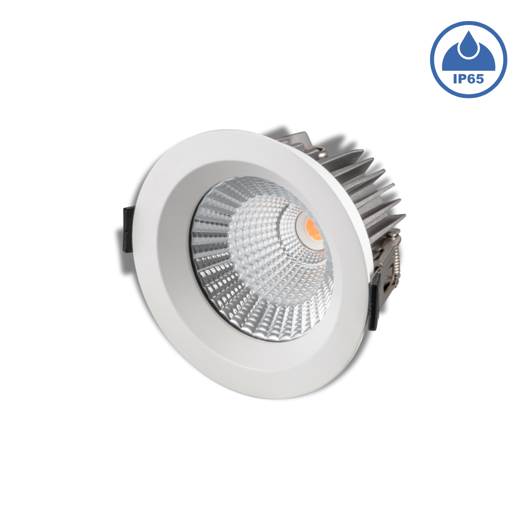 Đèn LED âm trần chống nước IP65 - 10W, Φ95