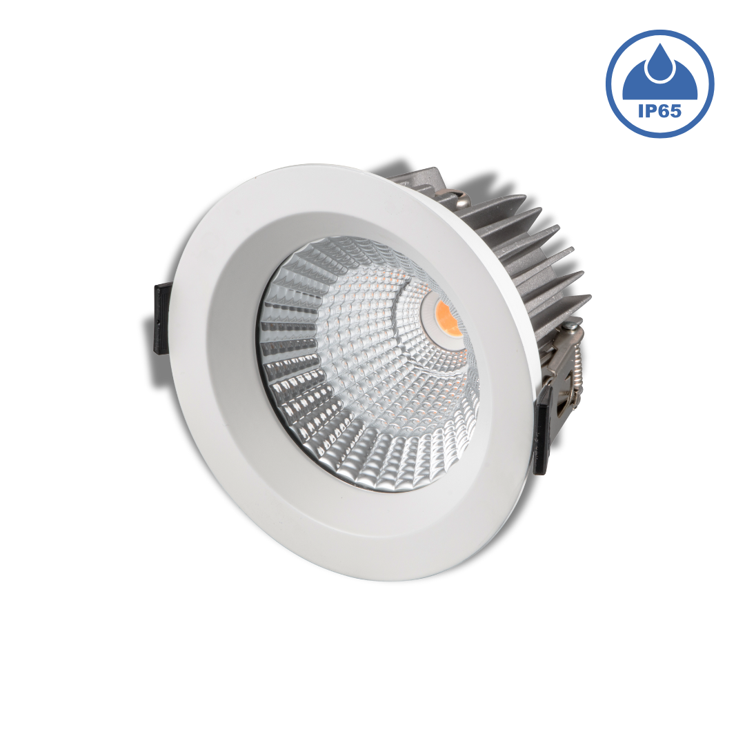 Đèn LED âm trần chống nước IP65 - 20W, Φ115