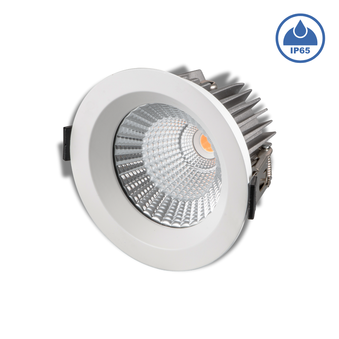 Đèn LED âm trần chống nước IP65 - 30W, Φ150