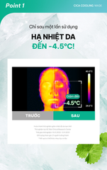 Mặt Nạ Rau Má Hạ Nhiệt -4.5 Độ Giảm Mụn & Làm Dịu Da Ửng Đỏ Cháy Nắng Cell Fusion C Cica Cooling Mask