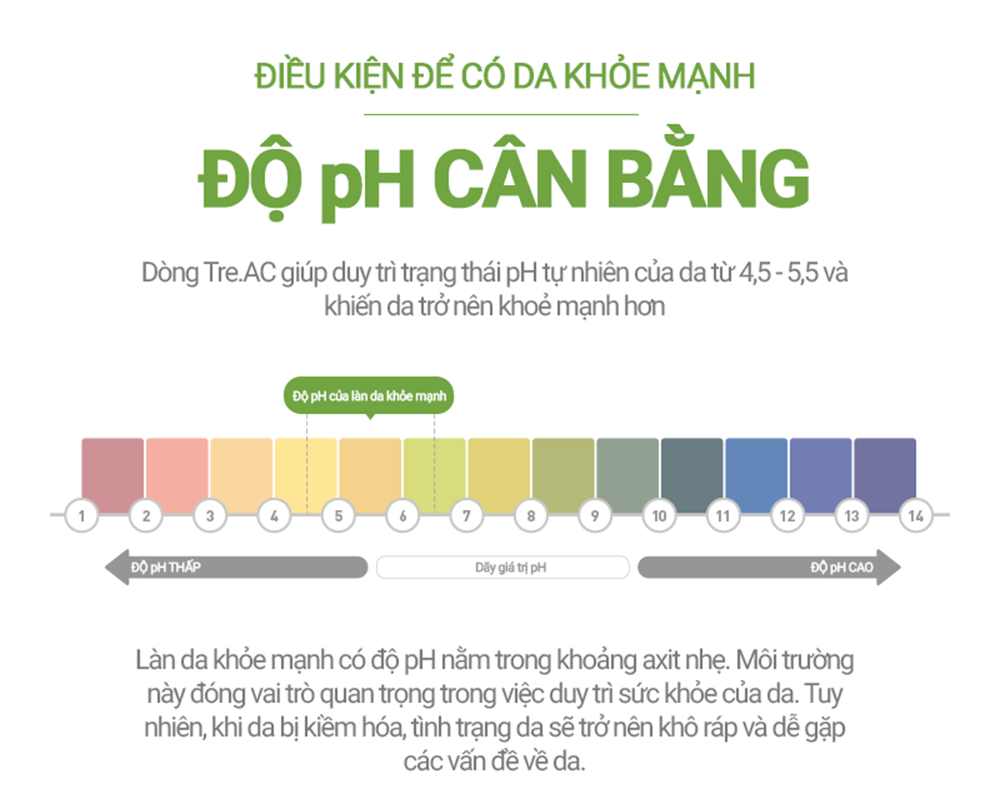 Gel Dưỡng Da Cân Bằng Dầu & Ẩm Cho Da Dầu Mụn Cell Fusion C Tre.AC Moisture Gel Oint Serene Space Sản Phẩm Chính Hãng