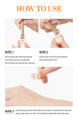 Ampoule Tăng Cường Độ Đàn Hồi Giảm Nhăn & Chậm Lão Hoá Cell Fusion C Salmon PDRN Ampoule