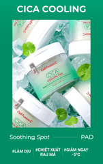 Toner Pad Rau Má Làm Lạnh Hạ Nhiệt -5 Độ Giảm Mụn & Làm Dịu Da Ửng Đỏ Cháy Nắng Cell Fusion C Cica Cooling Pad