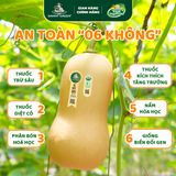 Bí Hạt Đậu Hữu Cơ DannyGreen