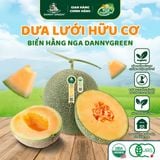 Dưa lưới Hữu Cơ Biển Hằng Nga DannyGreen
