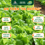 Túi Rau Cải Bẹ Dún Hữu Cơ 300g