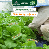 Túi Rau Cải Bẹ Dún Hữu Cơ 300g