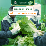 Túi Rau Cải Bẹ Dún Hữu Cơ 300g