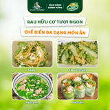 Túi Rau Cải Bẹ Dún Hữu Cơ 300g