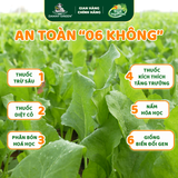 Túi Rau Cải Bó Xôi Hữu Cơ 300g