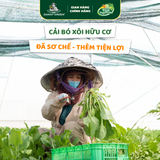 Túi Rau Cải Bó Xôi Hữu Cơ 300g