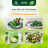 Túi Rau Cải Bó Xôi Hữu Cơ 300g