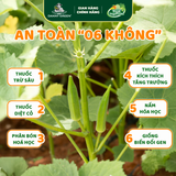 Đậu bắp Hữu Cơ 500g