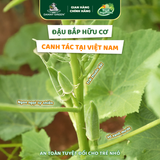Đậu bắp Hữu Cơ 500g