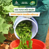 Đậu bắp Hữu Cơ 500g
