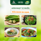 Đậu bắp Hữu Cơ 500g