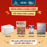 Thịt xiên truyền thống 500g