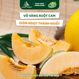 Dưa Lê Hữu Cơ Hồng Kim DannyGreen