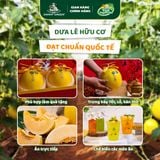 Dưa Lê Hữu Cơ Hồng Kim DannyGreen