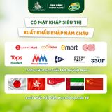 Dưa Lê Hữu Cơ Hồng Kim DannyGreen