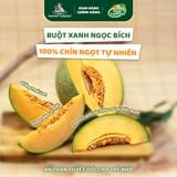 Dưa lưới Hữu Cơ Biển Hằng Nga DannyGreen