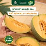 Dưa lưới Hữu Cơ Biển Hằng Nga DannyGreen