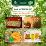 Dưa lưới Hữu Cơ Biển Hằng Nga DannyGreen