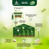 Dưa lưới Hữu Cơ Biển Hằng Nga DannyGreen