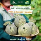Dưa lưới Hữu Cơ Biển Ngọc Bích DannyGreen