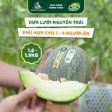 Dưa lưới Hữu Cơ Biển Ngọc Bích DannyGreen