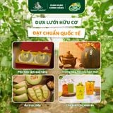 Dưa lưới Hữu Cơ Biển Ngọc Bích DannyGreen