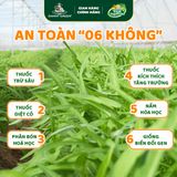 Rau muống hữu cơ DannyGreen túi 300g