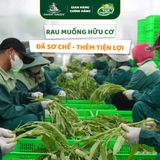 Rau muống hữu cơ DannyGreen túi 300g