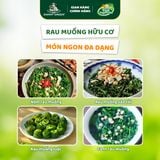 Rau muống hữu cơ DannyGreen túi 300g