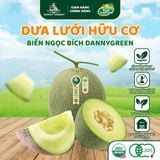 Dưa lưới Hữu Cơ Biển Ngọc Bích DannyGreen