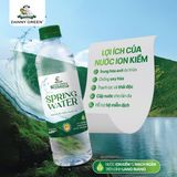 Thùng 24 chai nước ion kiềm Spring Water 480ml