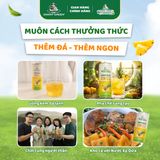 Thùng 24 Lon Nước Ép Dứa Có Thịt Dứa 250ml
