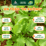 Túi Rau Cải Mèo Hữu Cơ 300g