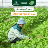 Túi Rau Cải Mèo Hữu Cơ 300g