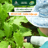 Túi Rau Cải Mèo Hữu Cơ 300g